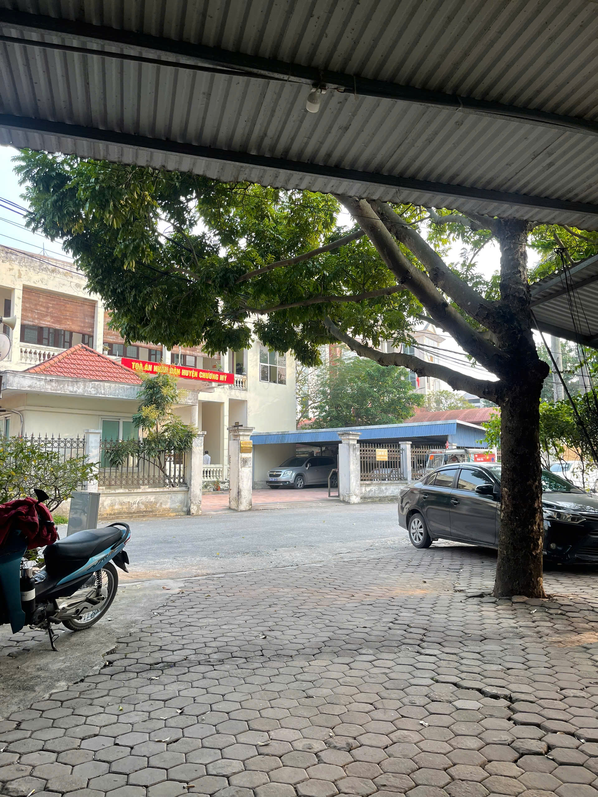 Tranh chấp chuyển nhượng hợp đồng Tranh chấp hợp đồng đặt cọc. thuê nhà ở thuộc sở hữu nhà nước và